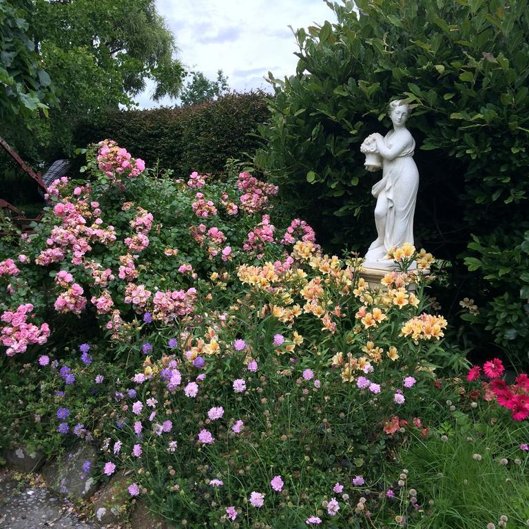 Bed and Breakfast Blairgowrie House Cambridge Exteriér fotografie