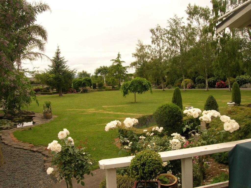 Bed and Breakfast Blairgowrie House Cambridge Exteriér fotografie