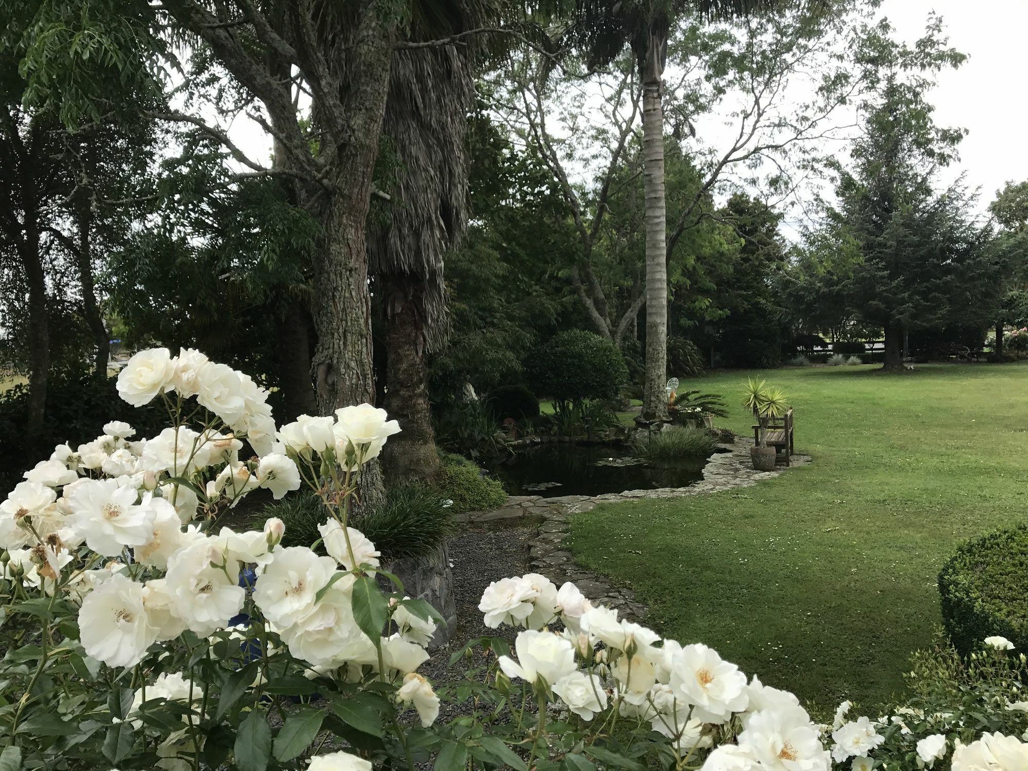 Bed and Breakfast Blairgowrie House Cambridge Exteriér fotografie