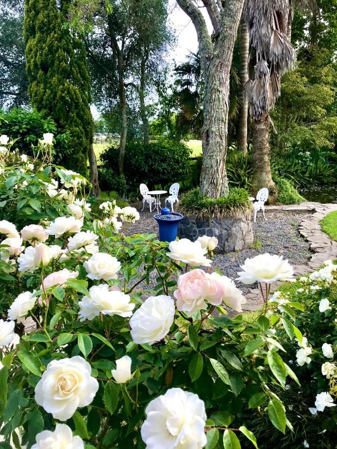 Bed and Breakfast Blairgowrie House Cambridge Exteriér fotografie